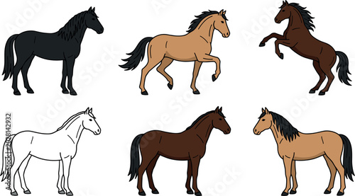 Fotografie Horse Breed Vector Illustration Set Featuring Black Palomino Chestnut White and