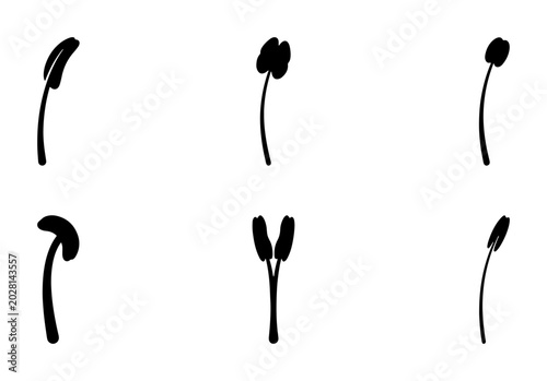 Konstfotografi Stamen Vector Icons, Botanical Illustration Elements, Floral Anatomy Graphics, S