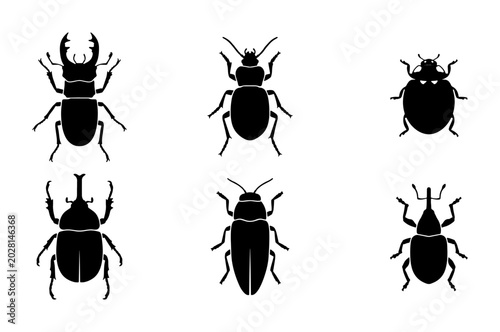Принти на полотні Six Black Insect Silhouettes, Vector Collection of Diverse Beetles, Entomology S