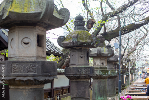 Cuadro en lienzo Ueno Toshogu Shrine