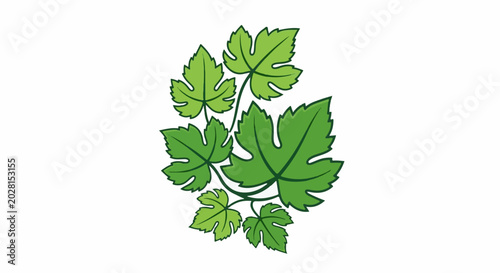 A stylized cluster of lush green vine leaves with textured edges on a white background