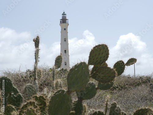 California Lighthouse, Caribbean Sea and Cactus Landscape in Aruba