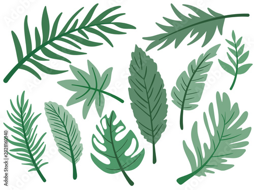 Fotografie Collection of green hand drawn tropical leaves