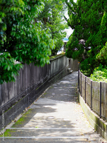Foto 木漏れ日が差し込む伝統的な塀と、新緑に囲まれた静かな坂道