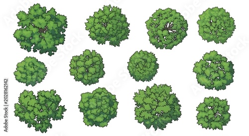 Set of green trees viewed from above for architectural landscape and map design