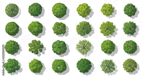Set of various green tree icons seen from above for landscape design and architecture