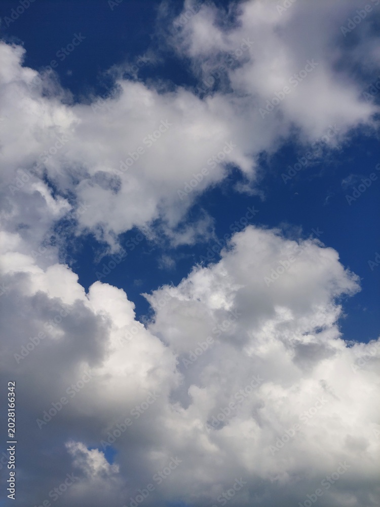 Fototapeta premium blue sky with clouds