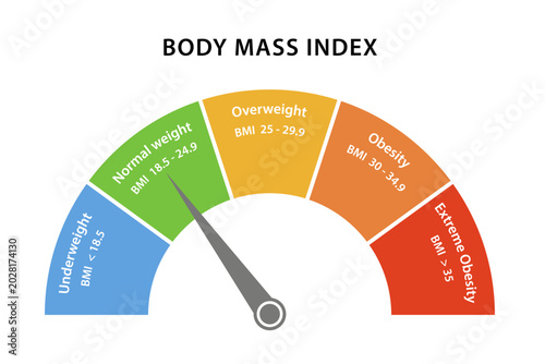Body mass index pie chart. Flat style vector illustration isolated on a white background.