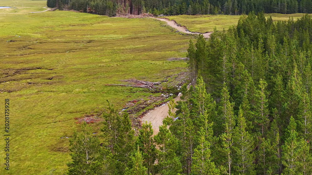 Fototapeta premium Aerial View of a Winding Dirt Path Beside a Pine Forest in Scotland