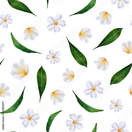  Plumeria seamless pattern, watercolor illustration with white frangipani flowers and green leaves, For textile, fabric, wallpaper, packaging, wrapping paper, surface design and branding projects