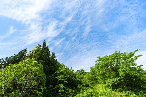 Bild auf Leinwand 新緑の山並みと青空の風景 / Fresh Green Mountains and Blue Sky Landscape
