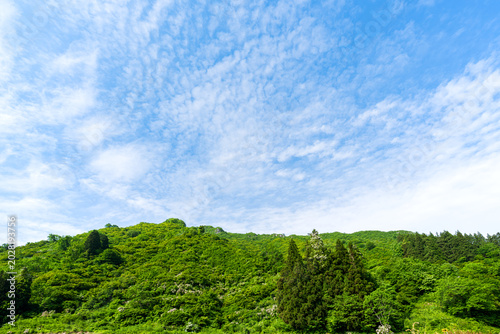 Foto 広角で捉えた新緑の山岳風景 / Wide-Angle View of Fresh Green Mountain Scenery