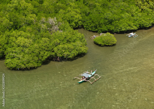 Aerial drone view of a traditional Filipino outrigger boat navigating through shallow waters beside dense mangrove forests on the western coast of Coron Island, Palawan, Philippines