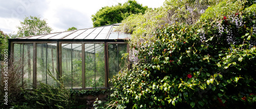 Traditional old walled english cottage garden worcestershire England UK