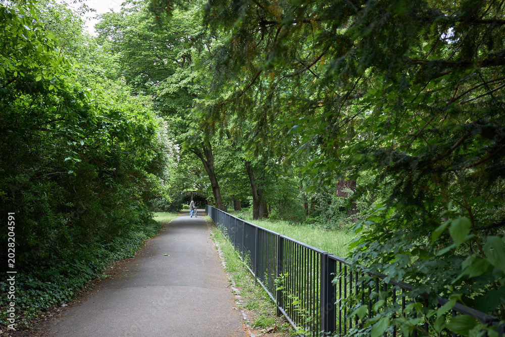 Fototapeta premium A person walks their dog down a tree-lined path in a lush green park during the day
