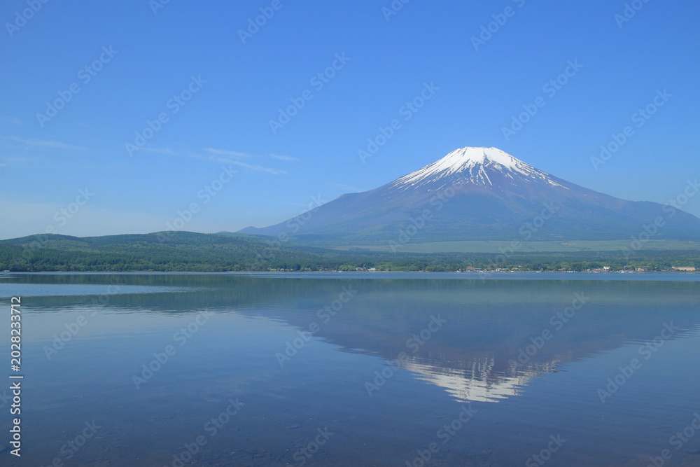 Fototapeta premium 逆さ富士 山中湖 青 空 背景