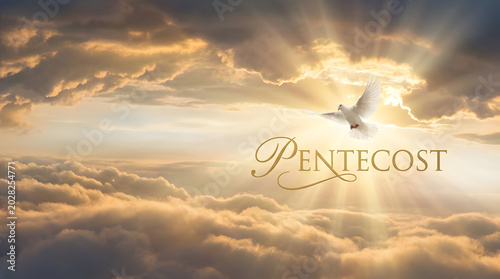 Pentecost Wind and Fire Igniting Faith Unity and Renewal