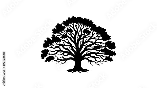Silhouette of a majestic tree with dense foliage against a white background