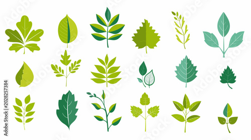 Variety of green leaf illustrations on a white background vector set
