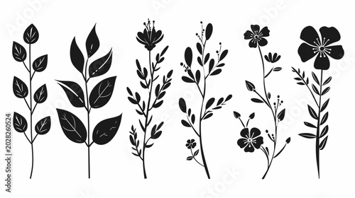 Black and white floral elements illustration for design and decoration
