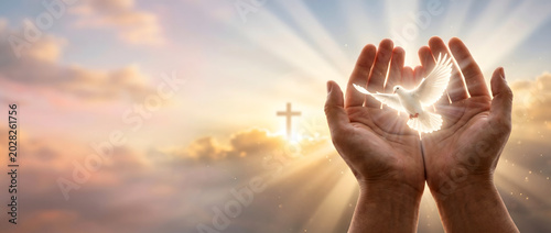 Human Hands Raised in Worship Holding an Illuminated Dove with Background Cross and Golden Sunrise Rays, Spiritual Panoramic Background
