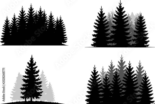 Bild auf Leinwand Evergreen Pine Forest Silhouette Collection with Woodland Tree Landscapes for Na