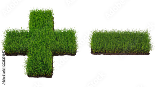 Canvastavla Green grass plus and minus symbols