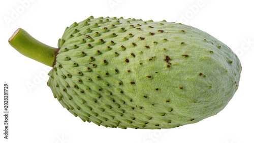Tableau sur toile Green soursop fruit with textured skin and stem