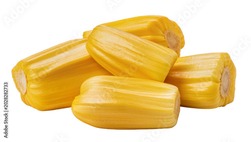 Foto Ripe Jackfruit Segments Tropical Fruit Yellow