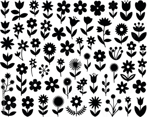 Fotografie Flower shape collection for botany reference