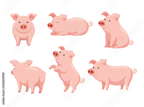 Set of cute pink pig cartoon characters in different poses flat vector illustration isolated on white background for farm animal design and nursery decor