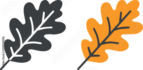 Canvastavla Oak leaf vein anatomy for botanical reference