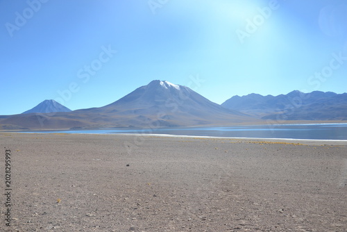 Photos Lagunas Altiplânicas - Deserto do Atacama (Chile)