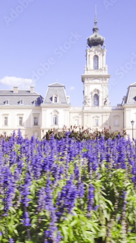 Violet garden in front of the castle in Hungary slide shot