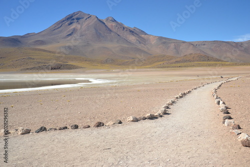 Canvastavla Lagunas Altiplânicas - Deserto do Atacama (Chile)