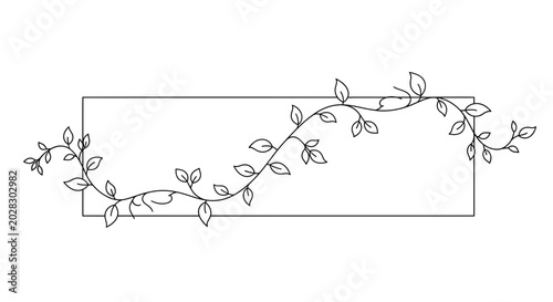 Elegant vine border with leaves framing a blank rectangle, delicate botanical design