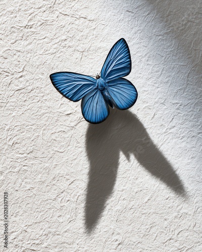 Blue butterfly with dramatic shadow on textured paper