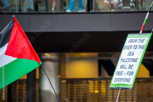 Palestine Flag in Conflict Protest