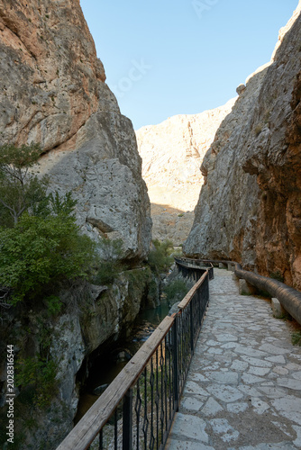 bridge over the river