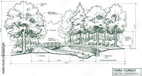 Isolated a realistic Architectural Drawings vector exterior park forest section. hand drawn. Elevations. cad line. Green outdoor vector art with white background..