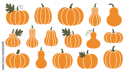 Tableau sur toile Collection of orange pumpkins and gourds flat vector illustration on a white bac
