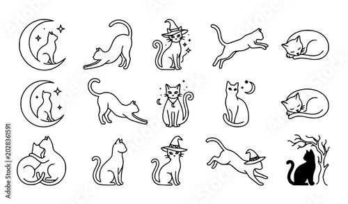 Photography Minimalist elegant Halloween black cat vector set with intricate line art witch