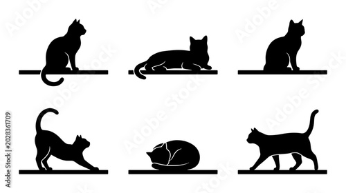 Fotografie Black Cat Silhouettes: Six Poses, Vector Icons for Pet Lovers, Animal Graphics