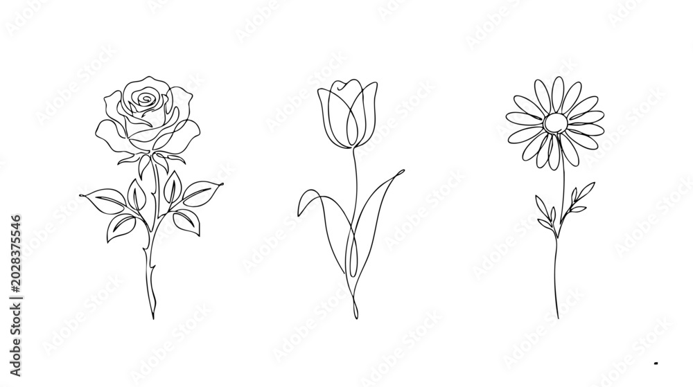 Fototapeta premium Minimal Continuous Line Floral Set with Rose Tulip and Daisy Botanical Vector Illustration