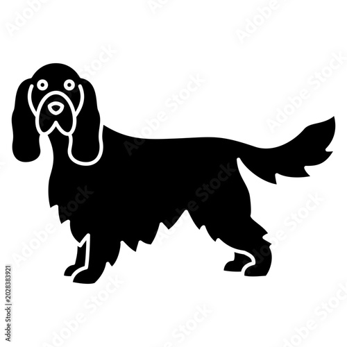 Konstfotografi English Springer Spaniel