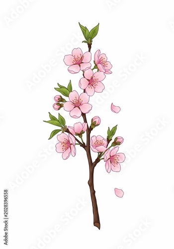 Delicate Hand-Drawn Blossom Branch: Soft Pink Petals Drift on a White Canvas