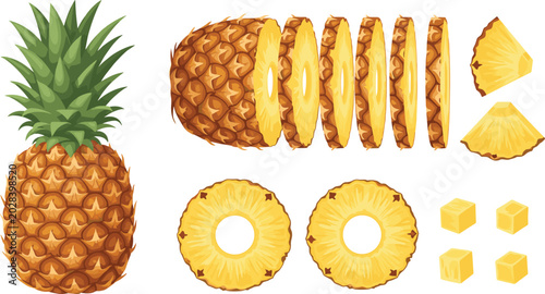 Tableau sur toile Fresh pineapple fruit vector collection with whole sliced rings chunks and tropi