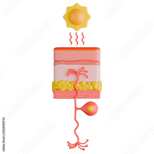 Skin Warm Receptor of Sensory Neuron Detecting High Temperature Heat 3D Illustration.