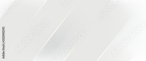 Quadro em tela Abstract white and gray background