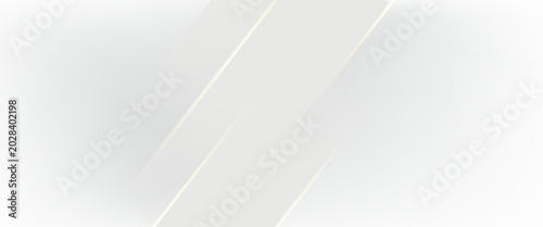 Bilde på lerret Abstract white and gray background